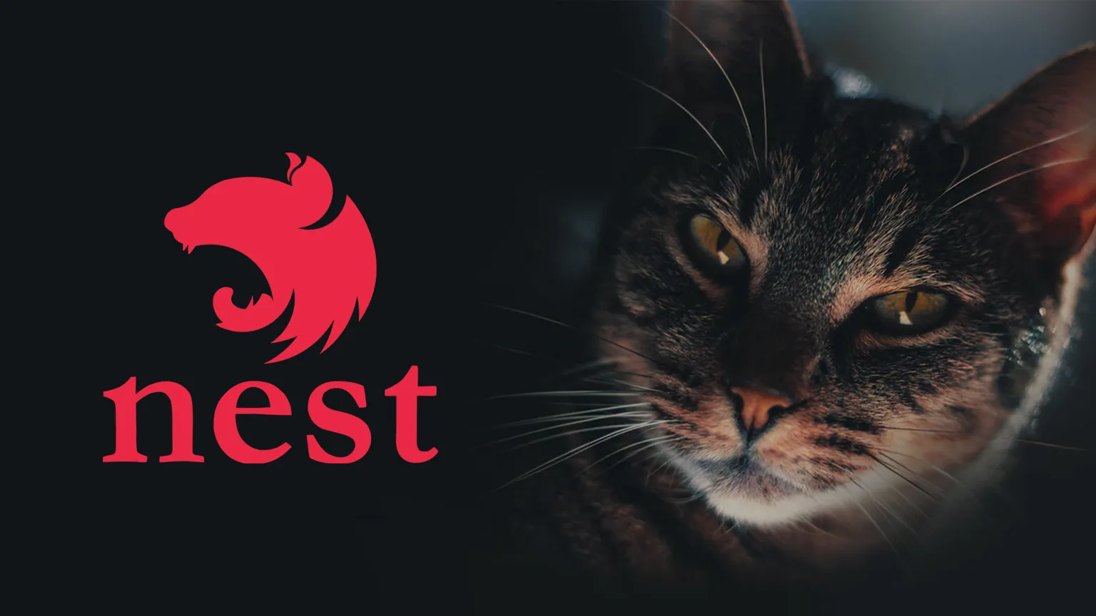 NestJS' logo with a cat in the background